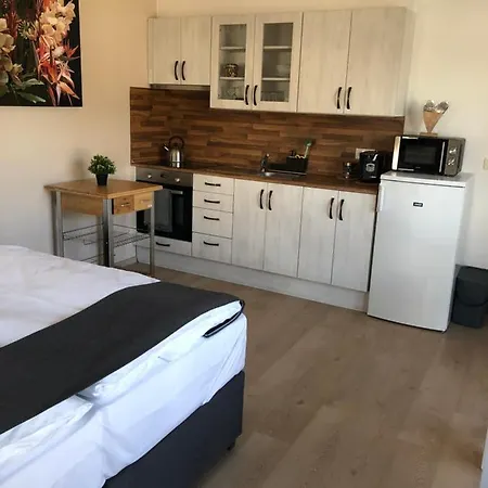 Apartman Dum Pod Radnici Studia Žamberk